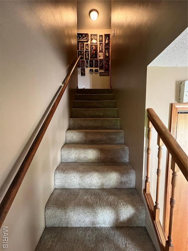 7070 Goldenrod Rd, Hannibal, MO 63401 - stairway featuring carpet floors