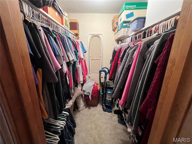 7070 Goldenrod Rd, Hannibal, MO 63401 - walk in closet with carpet
