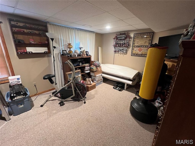 7070 Goldenrod Rd, Hannibal, MO 63401 - workout area with a drop ceiling and carpet floors
