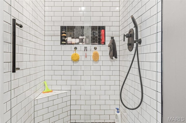 162 Saint Benedict, Pevely, MO 63070 - bathroom with a tile shower
