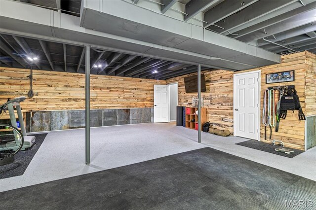 162 Saint Benedict, Pevely, MO 63070 - finished basement with wood walls
