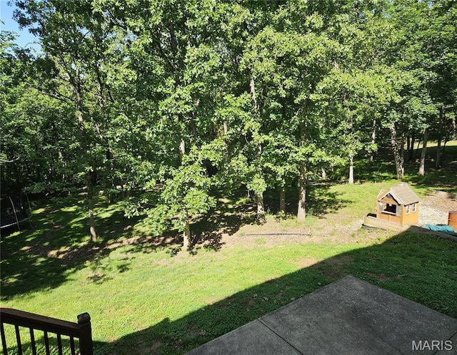 162 Saint Benedict, Pevely, MO 63070 - view of grassy yard