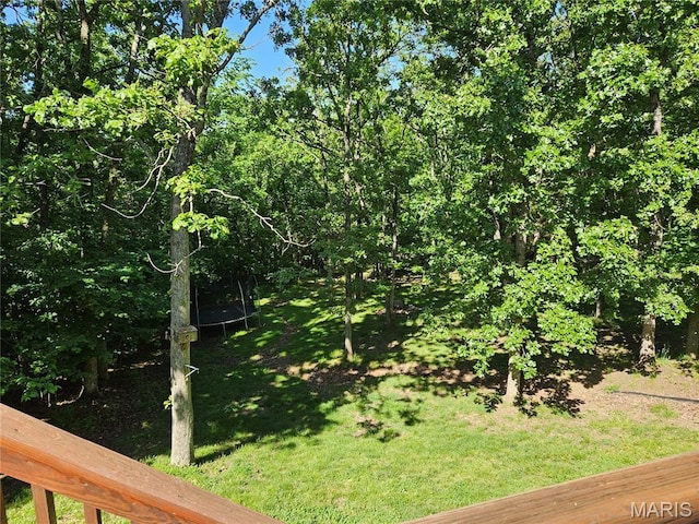 162 Saint Benedict, Pevely, MO 63070 - view of grassy yard featuring a trampoline