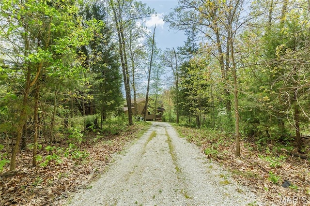 2635 Grendel Rdg, Innsbrook, MO 63390 - view of dirt / gravel driveway featuring a view of trees
