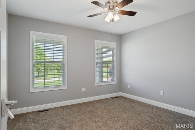 680 County Road 441, Jackson, MO 63755 - photo 23