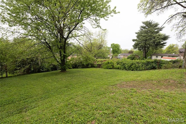 view of green lawn