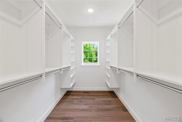 spacious closet featuring dark wood-style floors