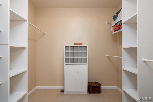 9574 Woodcrest Pl, Breese, IL 62230 - walk in closet with carpet floors