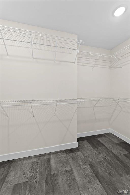 282 Railroad St, Moscow Mills, MO 63362 - walk in closet featuring dark wood-type flooring