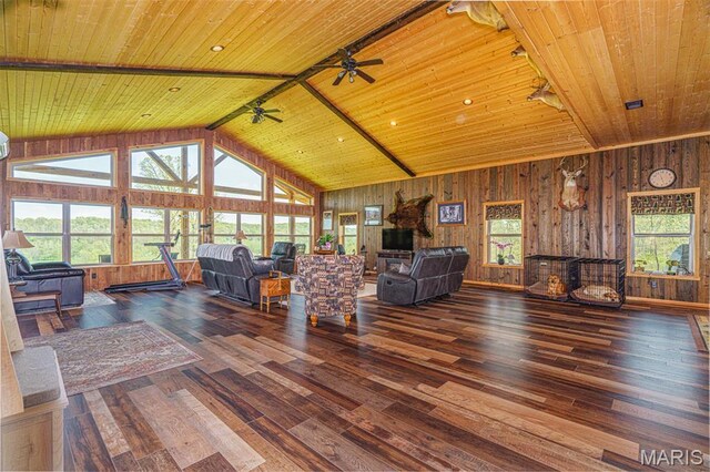 150 Keysville Rd, Steelville, MO 65565 - photo 6