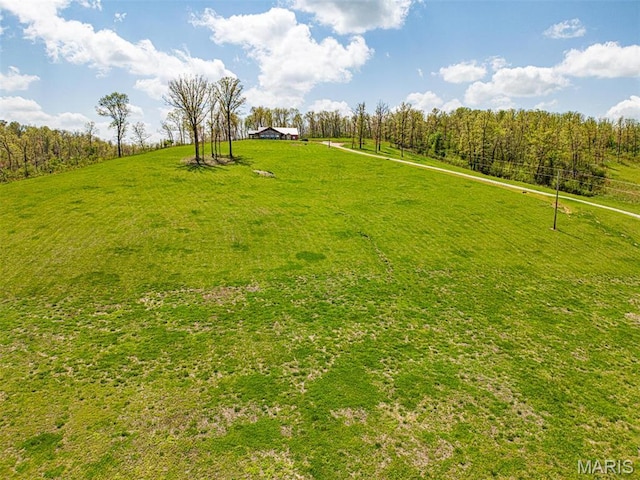 150 Keysville Rd, Steelville, MO 65565 - photo 46