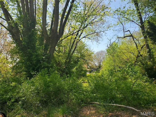 715 Ann St, Belleville IL, 62220 land for sale