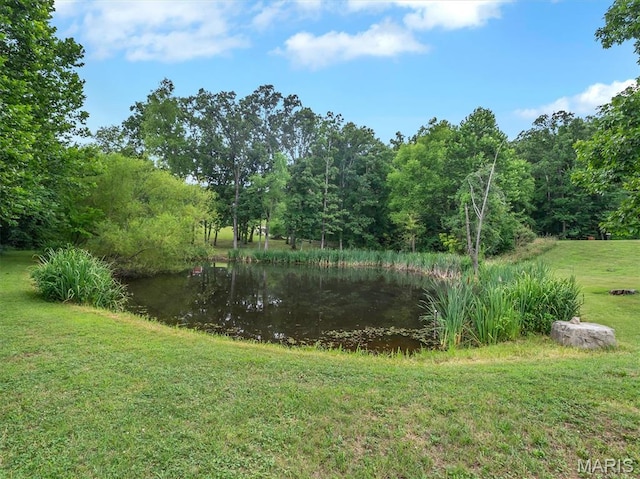 8165 Whisper Valley Rd, Robertsville, MO 63072 - photo 8