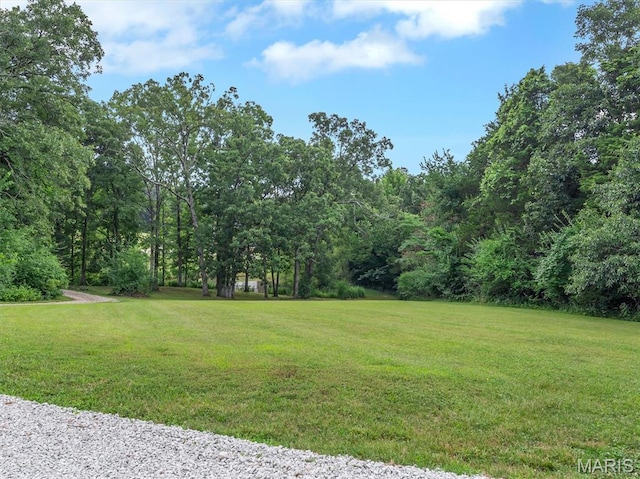 8165 Whisper Valley Rd, Robertsville, MO 63072 - photo 58