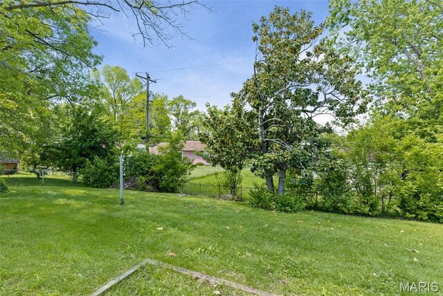 213 Todd Ln, Belleville, IL 62221 - view of yard