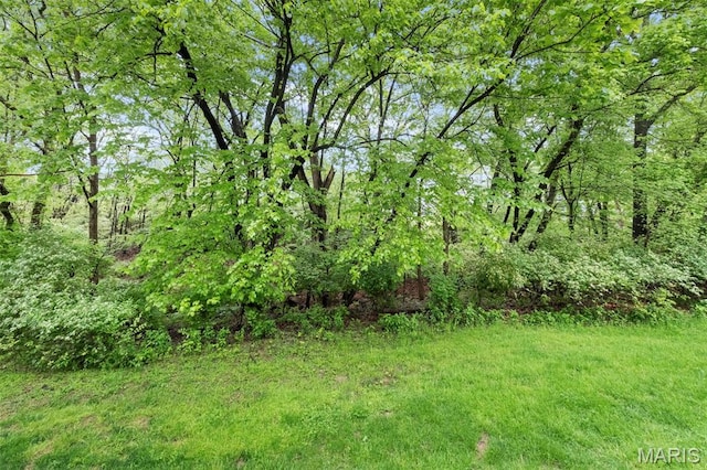 12944 Bryce Canyon Dr, Maryland Heights, MO 63043 - view of yard with a wooded view