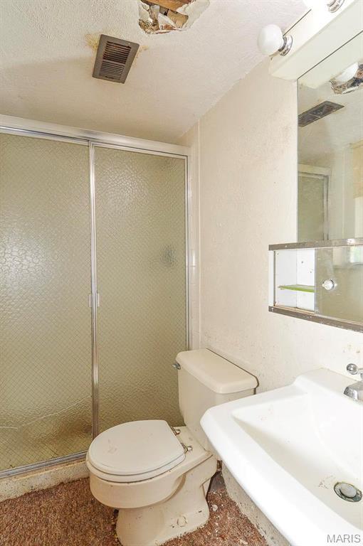 1107 Princeton Dr, Ofallon, IL 62269 - bathroom with a shower stall, a sink, and toilet