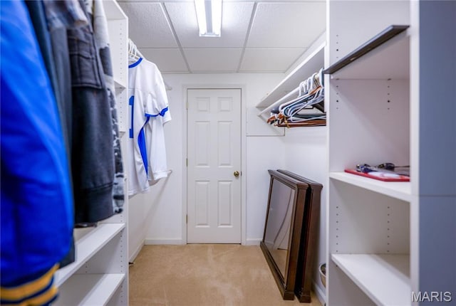 1004 Kodiak Ct, Wentzville, MO 63385 - spacious closet featuring light colored carpet and a drop ceiling