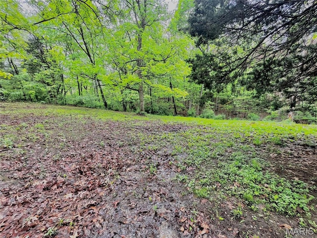 13556 Rustic Valley Dr, Wright City, MO 63390 - view of yard featuring a view of trees
