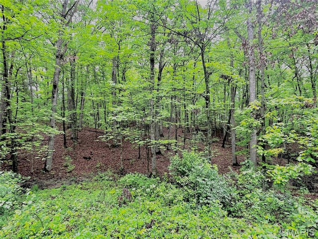13556 Rustic Valley Dr, Wright City, MO 63390 - view of woods