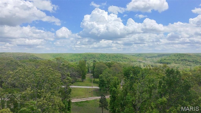 0 Hartford Rd, Dixon, MO 65459