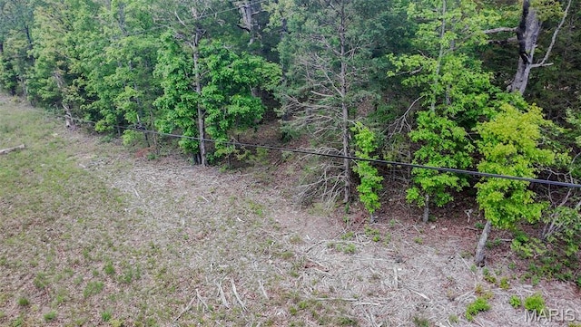 0 Hartford Rd, Dixon, MO 65459