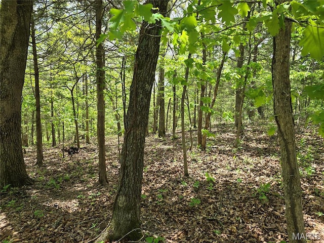 0 Hartford Rd, Dixon, MO 65459