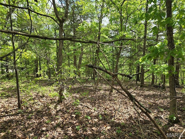 0 Hartford Rd, Dixon, MO 65459