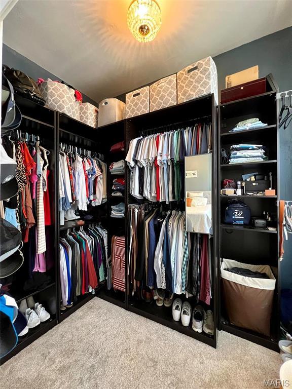 2116 Victor St, Saint Louis, MO 63104 - spacious closet featuring carpet floors