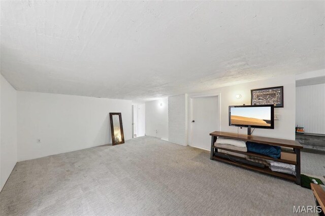 2116 Victor St, Saint Louis, MO 63104 - basement with carpet floors