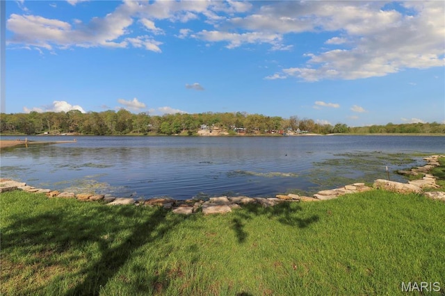 6709 Lakeshore Dr, Bonne Terre, MO 63628