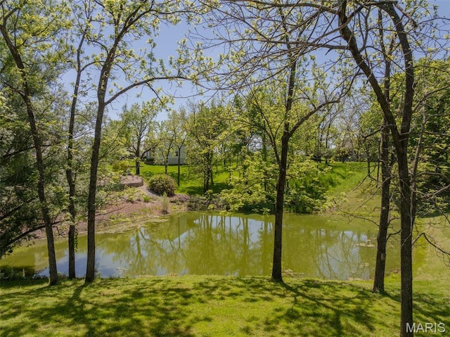 6344 Gibison Rd, Troy, MO 63379 - water view