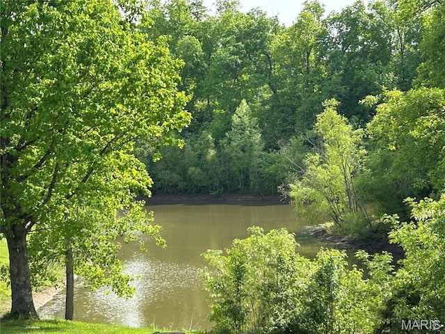 6344 Gibison Rd, Troy, MO 63379 - water view featuring a heavily wooded area
