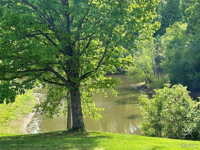 6344 Gibison Rd, Troy, MO 63379 - water view
