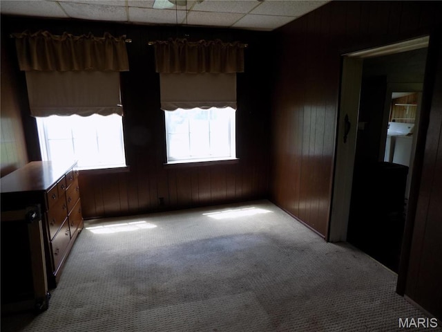 525 Russellville Rd, Arcadia, MO 63621 - carpeted spare room with wooden walls and a paneled ceiling