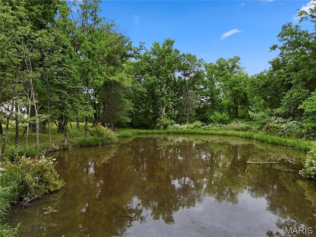 3066 W Meyer Rd, Foristell, MO 63348 - water view with a heavily wooded area