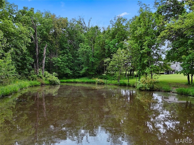 3066 W Meyer Rd, Foristell, MO 63348 - water view