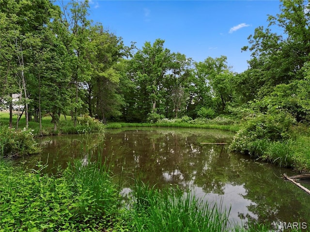 3066 W Meyer Rd, Foristell, MO 63348 - water view featuring a forest