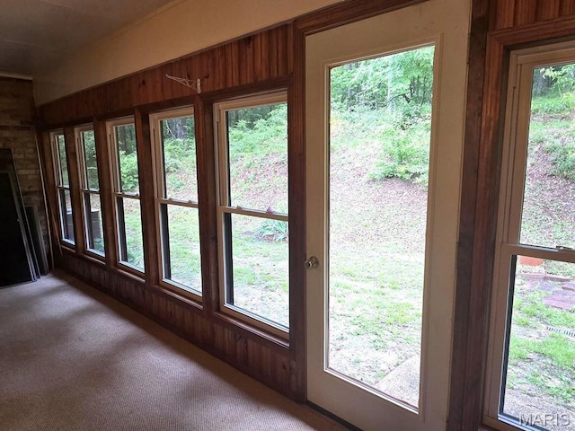 16043 County Road 624, Dexter, MO 63841 - doorway featuring wood walls and carpet