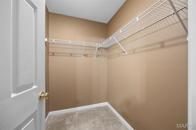1131 Saravalle Dr, Saint Peters, MO 63376 - spacious closet with carpet floors