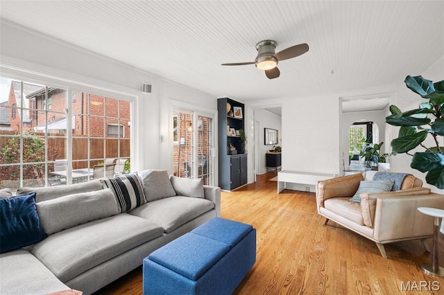 7424 University Dr, University City, MO 63130 - living room featuring a ceiling fan and light wood-style flooring