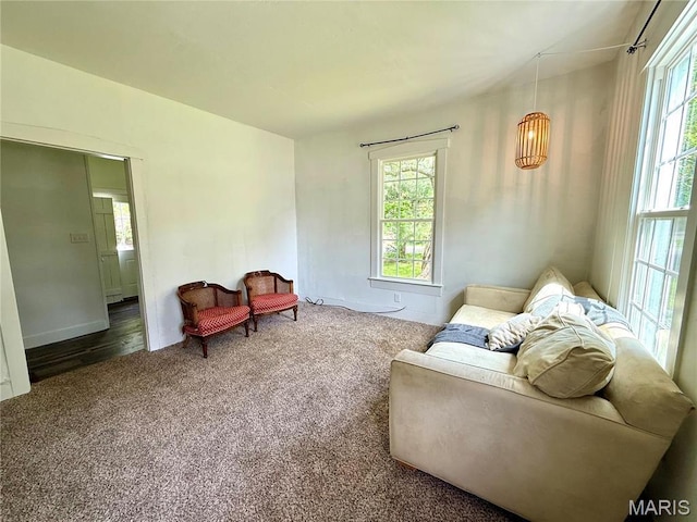 405 W Magnolia St, Marine, IL 62061 - carpeted living room with plenty of natural light