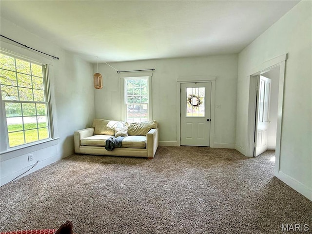 405 W Magnolia St, Marine, IL 62061 - living area featuring carpet