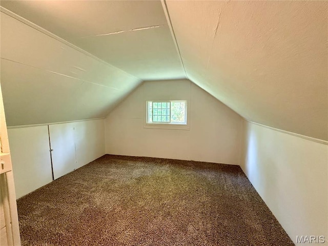 405 W Magnolia St, Marine, IL 62061 - bonus room featuring carpet floors and lofted ceiling
