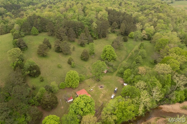 2481 Wayne 361, Piedmont, MO 63957 - aerial view of a heavily wooded area