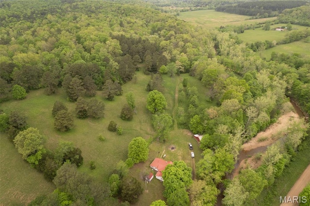 2481 Wayne 361, Piedmont, MO 63957 - bird's eye view of a heavily wooded area