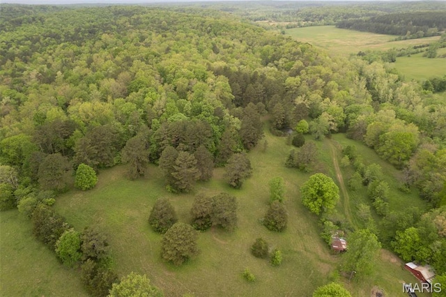 2481 Wayne 361, Piedmont, MO 63957 - drone / aerial view of a heavily wooded area