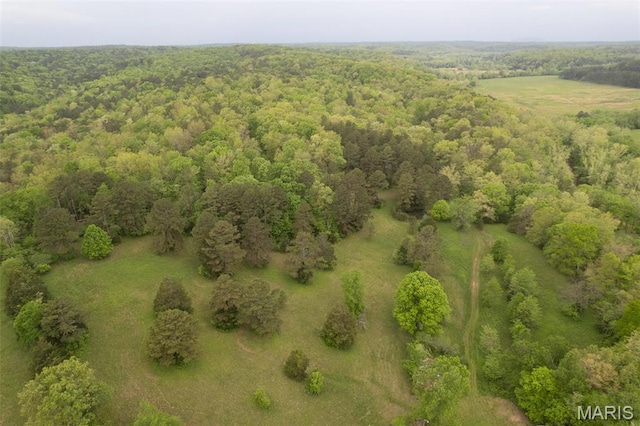 2481 Wayne 361, Piedmont, MO 63957 - drone / aerial view of a heavily wooded area