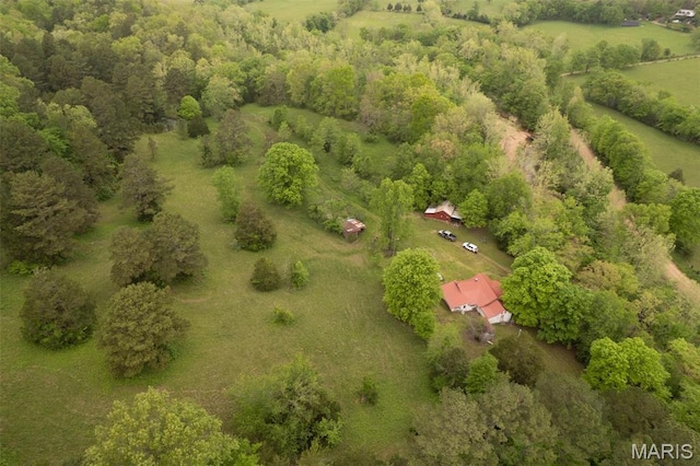 2481 Wayne 361, Piedmont, MO 63957 - overview of rural landscape