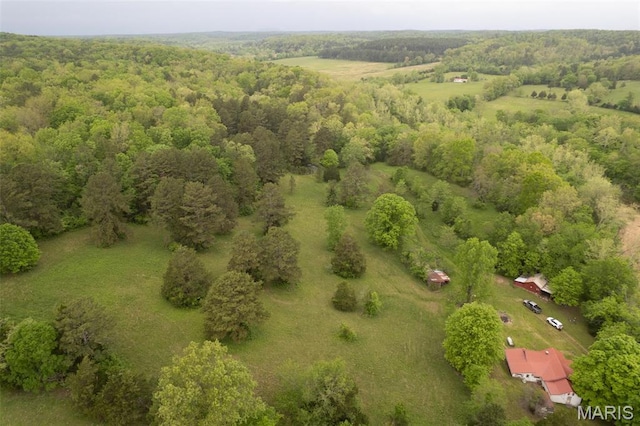 2481 Wayne 361, Piedmont, MO 63957 - aerial view of a heavily wooded area